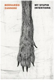 My Stupid Intentions - Bernardo Zannoni