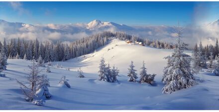 My Village Achtergrond doek Winter Bos 150 x 75 cm Multikleur