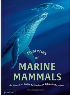 Mysteries Of Marine Mammals - Amandine Delaunay