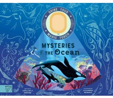 Mysteries Of The Ocean - Shine Your Magic Torch - Camilla de la Bedoyere