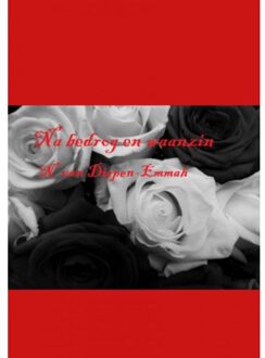 Na bedrog en waanzin - Boek Natascha van Diepen-Emmah (9463181210)