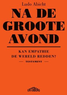 Na de groote avond - Ludo Abicht - ebook