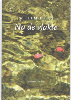 Na de vlakte - Boek W. Thies (9057590697)