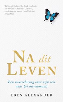 Na dit leven - eBook Eben Alexander (9044968696)