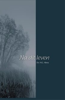 Na dit leven - H.G. Abma - ebook