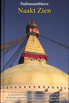Naakt zien - Boek Padmasambhava (9063501080)