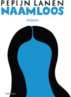 Naamloos - Boek Pepijn Lanen (9026338104)