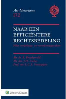 Naar een efficiëntere rechtsbedeling