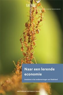 Naar een lerende economie - eBook Amsterdam University Press (9048522900)