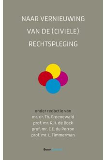 Naar Vernieuwing Van De (Civiele) Rechtspleging