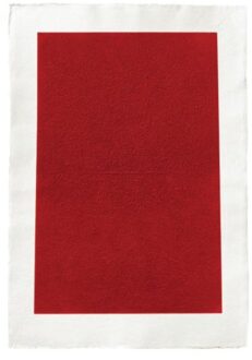 nai010 uitgevers/publishers Kees Visser - Hubert Besacier