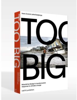 nai010 uitgevers/publishers Too Big - Boek Henk Ovink (9462083150)