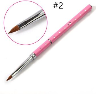 Nail Art Liner Schilderij Pen Tekening Tips Diy Acryl Gel Penselen Tekening Bloem Lijn Raster Franse Manicure Gereedschap 2
