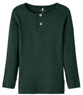 name it Nmmkab Pine Grove shirt met lange mouwen Groen