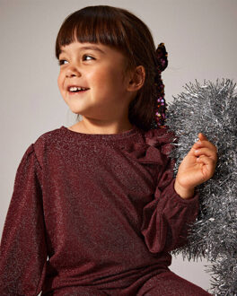 name it Top lange mouw 13249404 nmfroisin Paars - 98