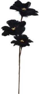 Nampook Flowerbranch Feather 80 cm Blac Multikleur