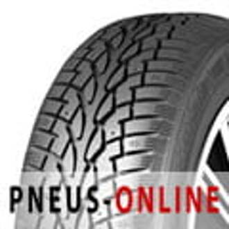 Nankang car-tyres Nankang Snow SW-7 ( 195/65 R14 89T, met spikes, met velgrandbescherming (MFS) )
