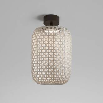 Nans PF/31.2 LED buiten plafondlamp, beige grafietbruin, beige