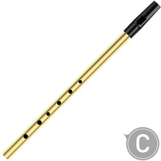 Naomi C Sleutel 6 Gaten Fluit Ierse Tin Fluitje Fluit Ierland Houtblazers Instrument Flauta Mini Pocket Penny Whistle High C goud