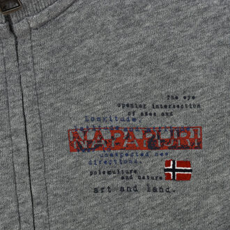 Napapijri K Beitem sweatshirt met lange mouwen en hoge hals N0YIE4 jongen - maat 8J / 128cm Grijs