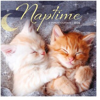 Naptime Square Mini Sunday Start Calenda - Carousel Calendars