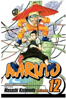 Naruto, Vol. 12