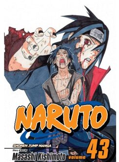 Naruto, Vol. 43