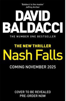 Nash Falls - David Baldacci