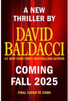 Nash Falls - David Baldacci