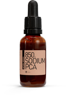 Natural Heroes Sodium PCA 50%