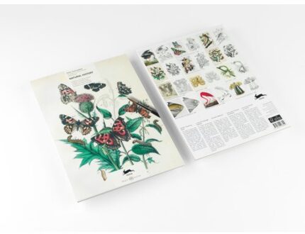 Natural History - Artists' Colouring Book - Pepin Van Roojen