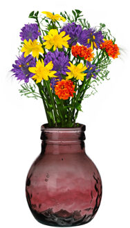 Natural Living Vaas Lourdes - Roze Transparant - Glas - D20 X H24 Cm