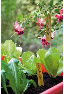 Nature 15x Fruitbomen/planten etiketten 10 cm - Moestuin labels 15 stuks - Tuin artikelen