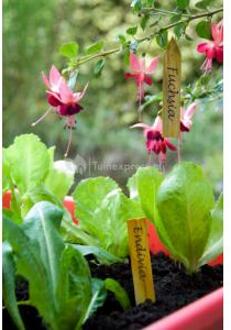 Nature 15x Fruitbomen/planten etiketten 10 cm - Moestuin labels 15 stuks - Tuin artikelen