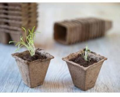 Nature 16x Turfpotjes/stekpotjes 6 cm biologisch afbreekbaar - Moestuinpotjes - Moestuin artikelen