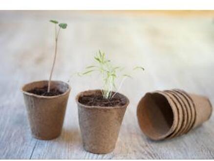 Nature 18x stuks biologisch afbreekbare turfpotje H 6 x 6 x 6 cm - Stekpotjes Bruin