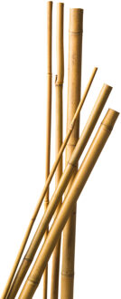 Nature Bamboestokken - 28x stuks - 90 cm - plantensteun / tonkinstokken