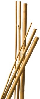 Nature Bamboestokl H60cm dia. 6-8mm set a 10 stuks