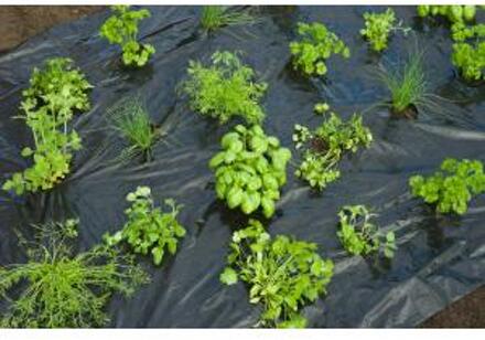 Nature Kweekfolie Tuinkruiden - Groeifolie Gronddoek - 0.95x5 m Zwart Anti-Uv