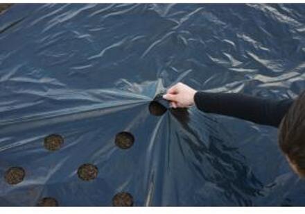 Nature Kweekfolie universeel zwart 1.40 x 10 m