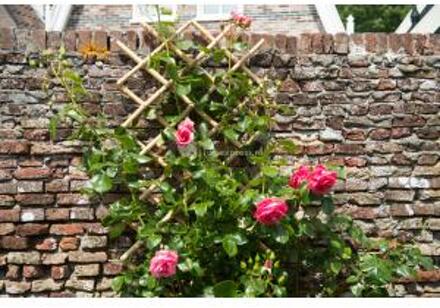 Nature Latwerk voor tuin 45x180 cm bamboe 6040720 Bruin