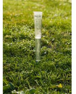 Nature NATUUR Pluviometer om op de grond te naaien - 100 ml - H 30,5 x Ø 4 cm