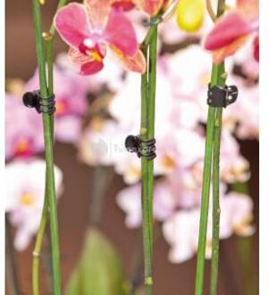 Nature Orchidee clips zwart set a 10 stuks