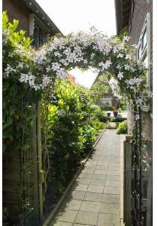 Nature Rozenboog Zwart