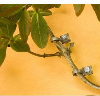 Nature Takkengeleiders - Klim-En Geleide Artikel - 1.1x3.8x3.5 cm Metallic 10 stuks