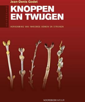 Natuurgids knoppen en twijgen - (ISBN:9789056156664)