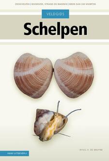 Natuurgids Schelpen | KNNV Uitgeverij