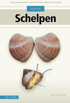Natuurgids Schelpen | KNNV Uitgeverij