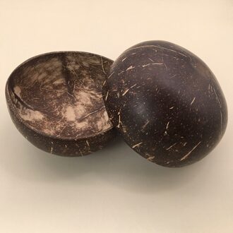 Natuurlijke Kokosnoot Kom Interessante Handwerk Huishoudelijke Servies Ramen Salade Soep Congee Noodle Rijstkom 2 bowl