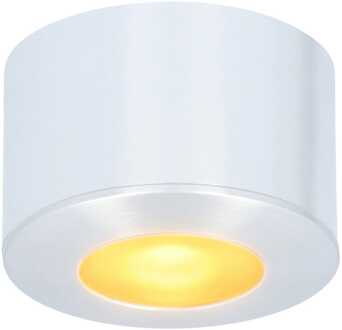Navarra Mini LED Opbouwspot - 12 Volt 3 Watt 200 lumen - Dimbaar - Plat 21.5mm - 2700K - IP44 waterdicht - Aluminium RVS